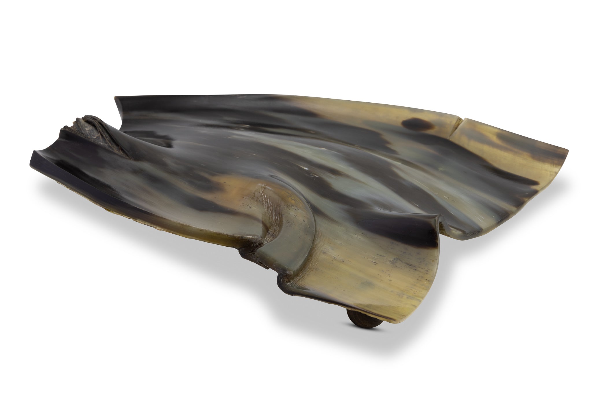 Flache schale aus fliessend gewelltem Horn, schöne schwarz-braune Maserung, Ansicht von seitlich oben